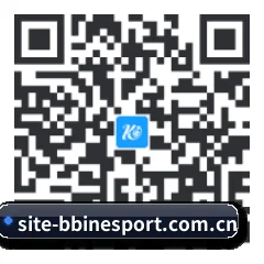苹果版 iOS 二维码